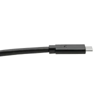 Tripp Lite U420-006-5A Cable USB-C (M/M) - USB 3.1, Gen 1 (5 Gbps), Especificación de 5A, Compatible con Thunderbolt 3, 1.83 m [6 pies]