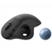 Logitech ERGO M575 ratón Diestro RF inalámbrica + Bluetooth Trackball 2000 DPI