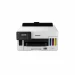 Canon MAXIFY GX5050 impresora de inyección de tinta Color 600 x 1200 DPI A4 Wifi